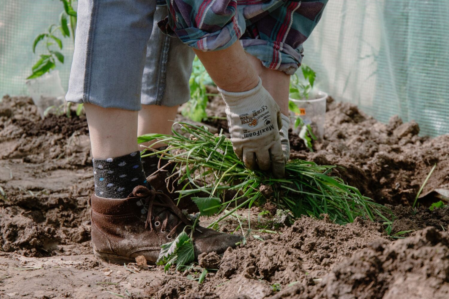 Désherbage du jardin : méthodes naturelles et gestes efficaces