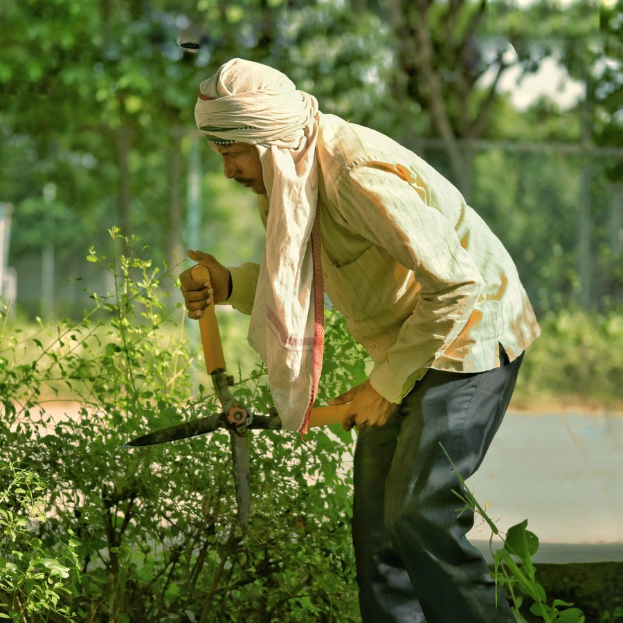 Le jardin au fil des saisons