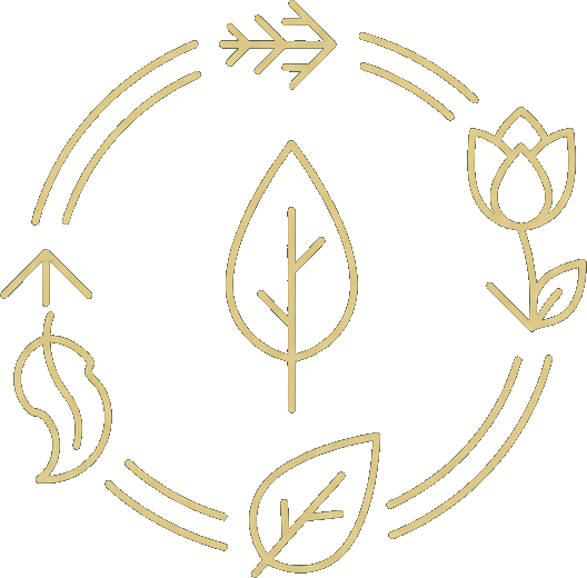 Au fil des saisons