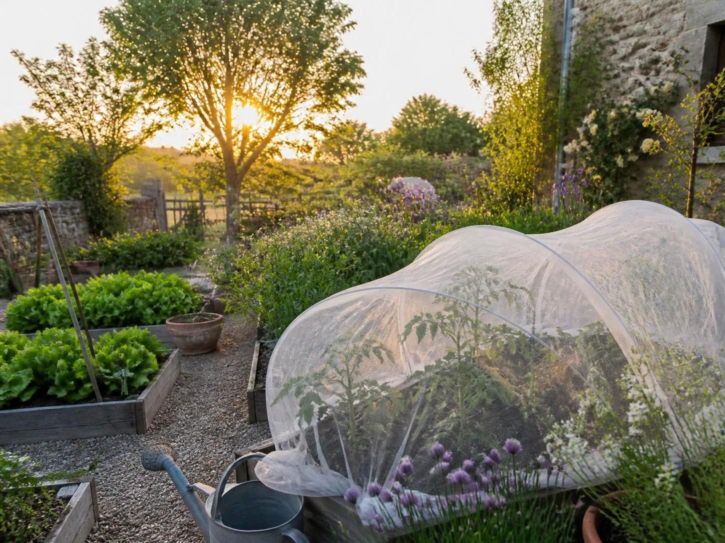 découvrez les dates des saints de glace et les précautions essentielles à prendre au jardin pour protéger vos plantations des dernières gelées printanières.