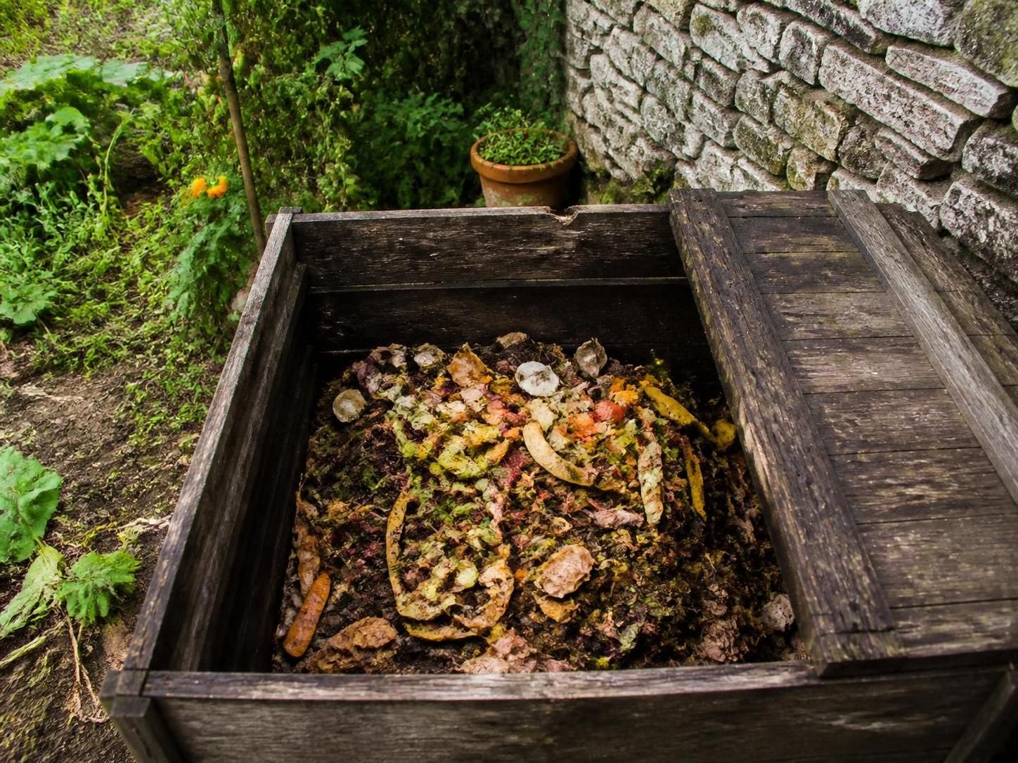 découvrez si vous pouvez mettre de la viande dans votre compost, les précautions à prendre et les meilleures pratiques pour un compostage réussi et sans odeurs.