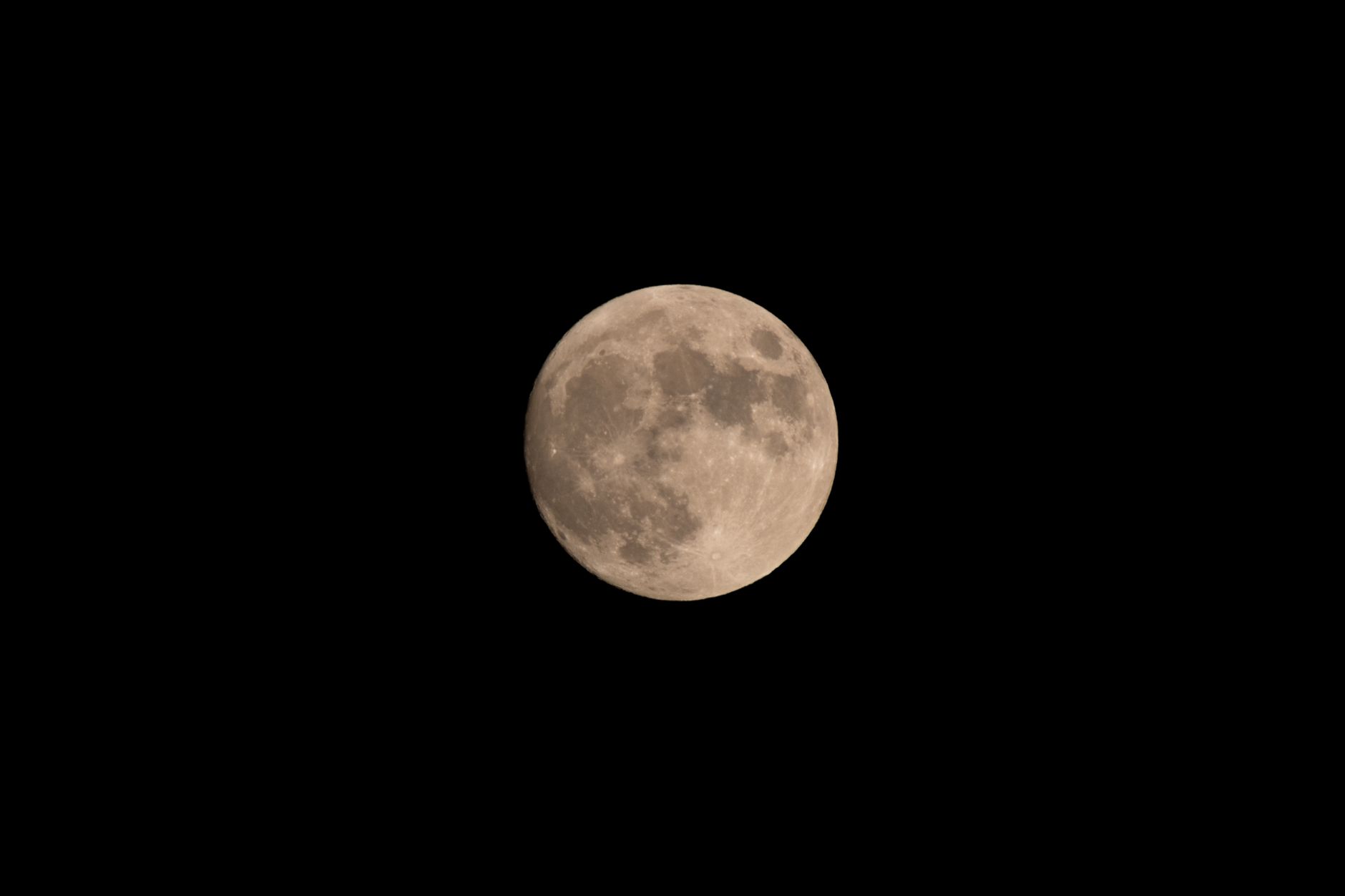 Jardiner avec la lune : bases essentielles pour comprendre le calendrier lunaire — jardinage avec calendrier lunaire
