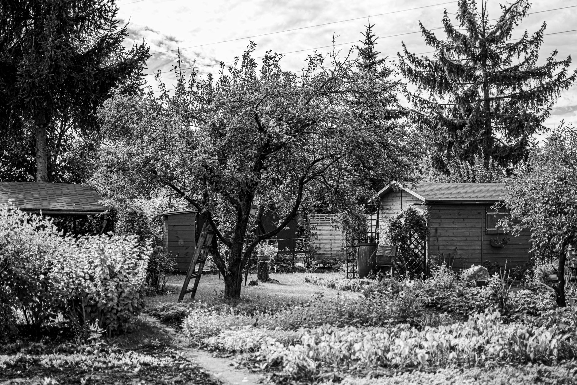 Deux abris de jardin de 5 m² sur un même terrain : ce que disent les règles d’urbanisme — deux abris de jardin dans le jardin