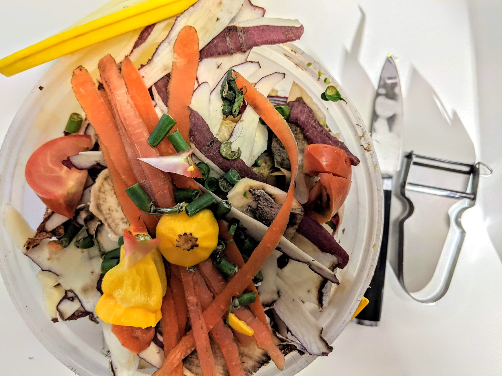 Peut-on mettre de la viande dans le compost domestique sans problème ? — bac à compost avec déchets de viande