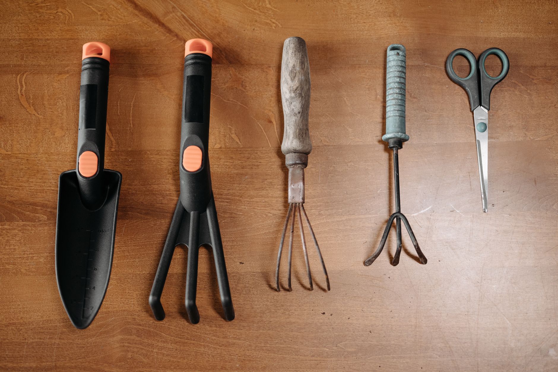 Travaux au jardin d’ornement en décembre : protection, taille légère et soin du sol — outils de jardinage en hiver