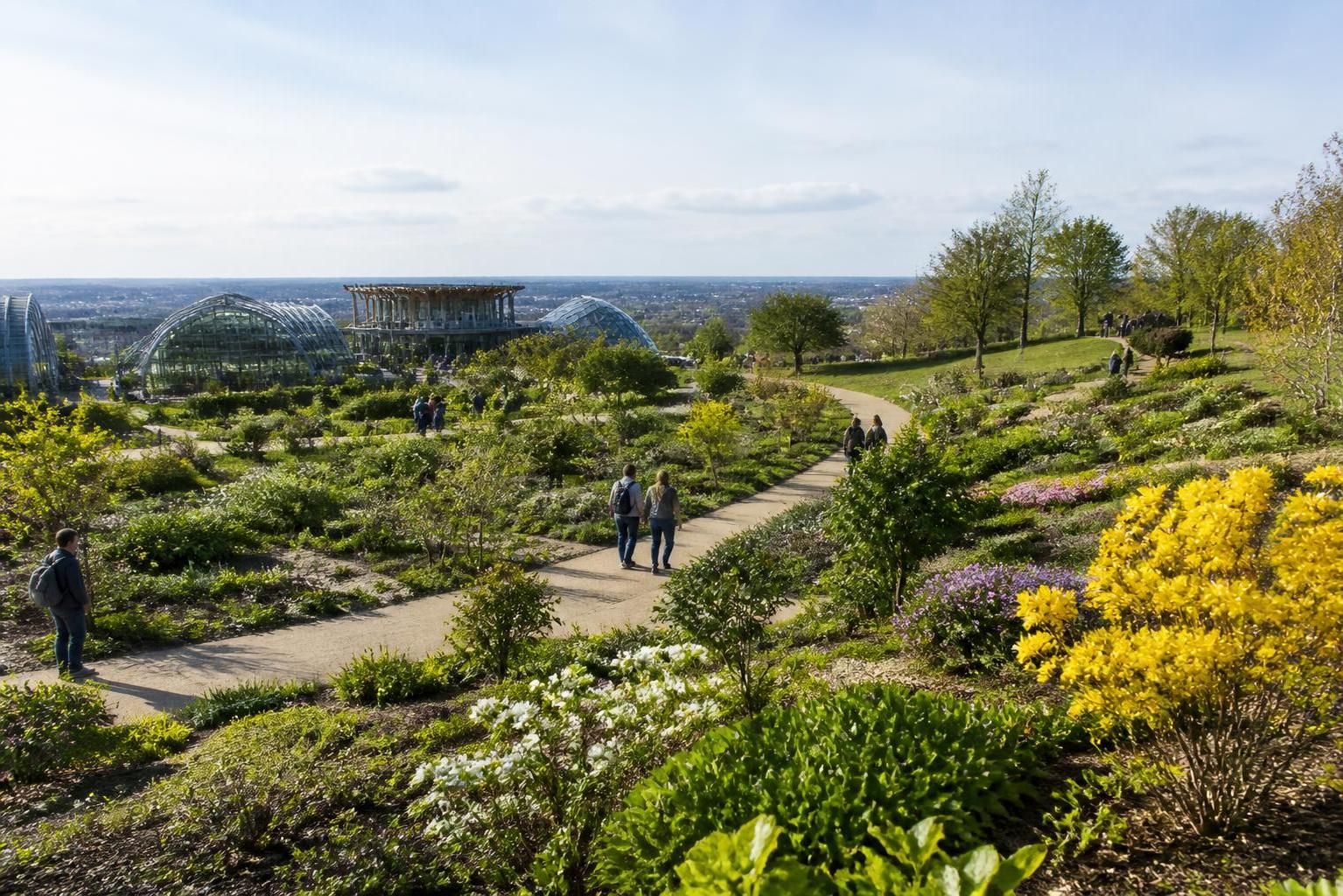 découvrez le jardin botanique de nancy, un lieu unique mêlant nature, biodiversité et inspiration. promenez-vous parmi ses espèces variées et laissez-vous émerveiller.