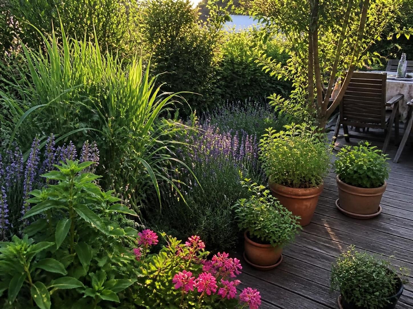 découvrez quelles plantes anti-moustiques planter pour éloigner naturellement les nuisibles et profiter d'un espace extérieur serein et sans piqûres.