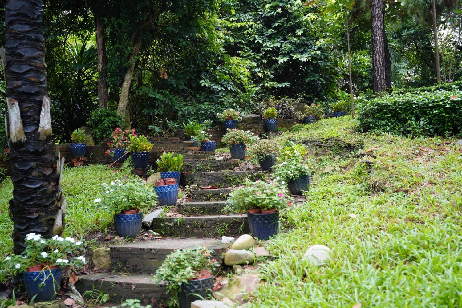 Aménagement du jardin : par où commencer pour un extérieur réussi