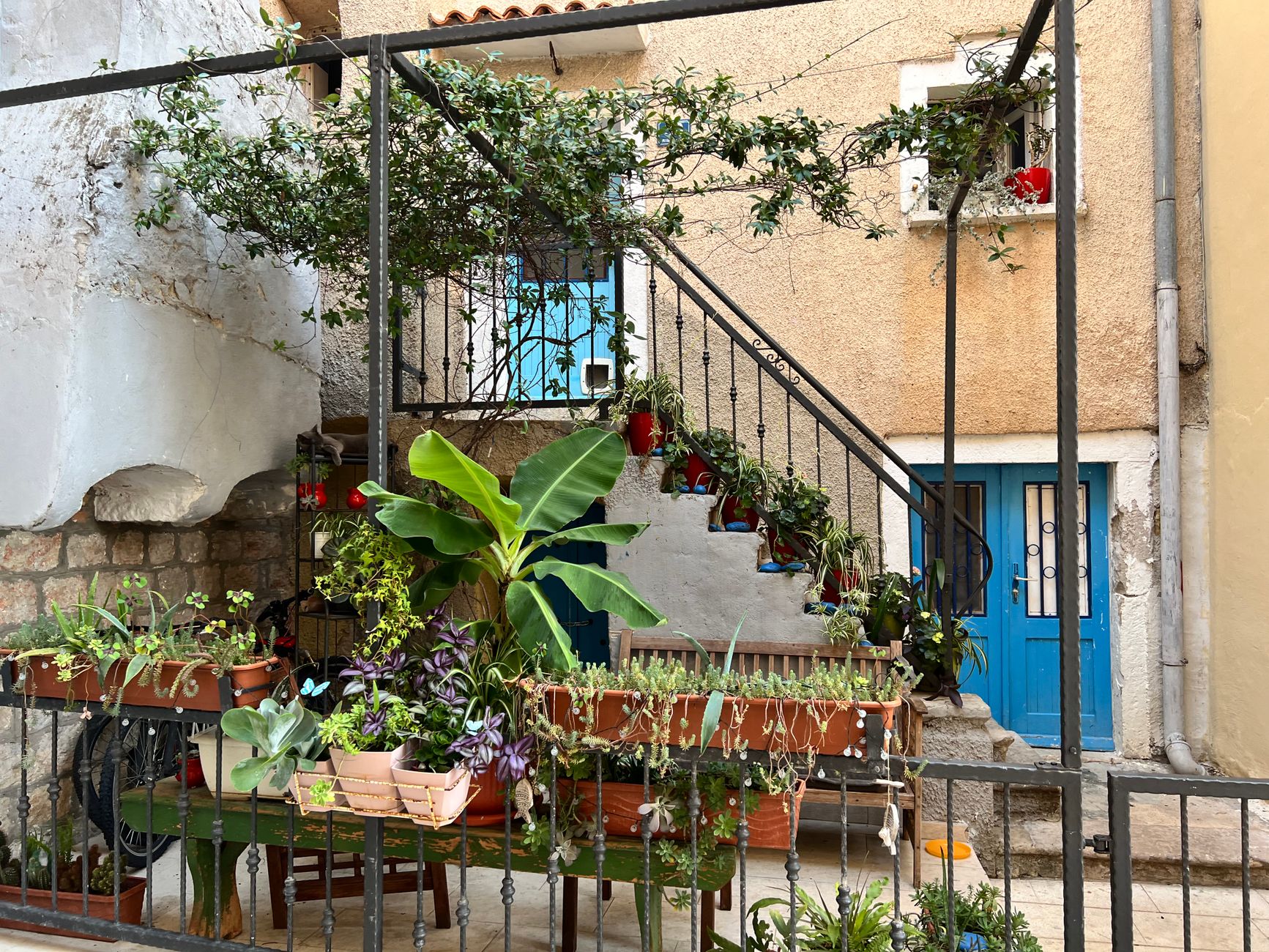Aménagement petit jardin 50 m2 : bien répartir les zones sans étouffer l’espace — petit jardin avec terrasse