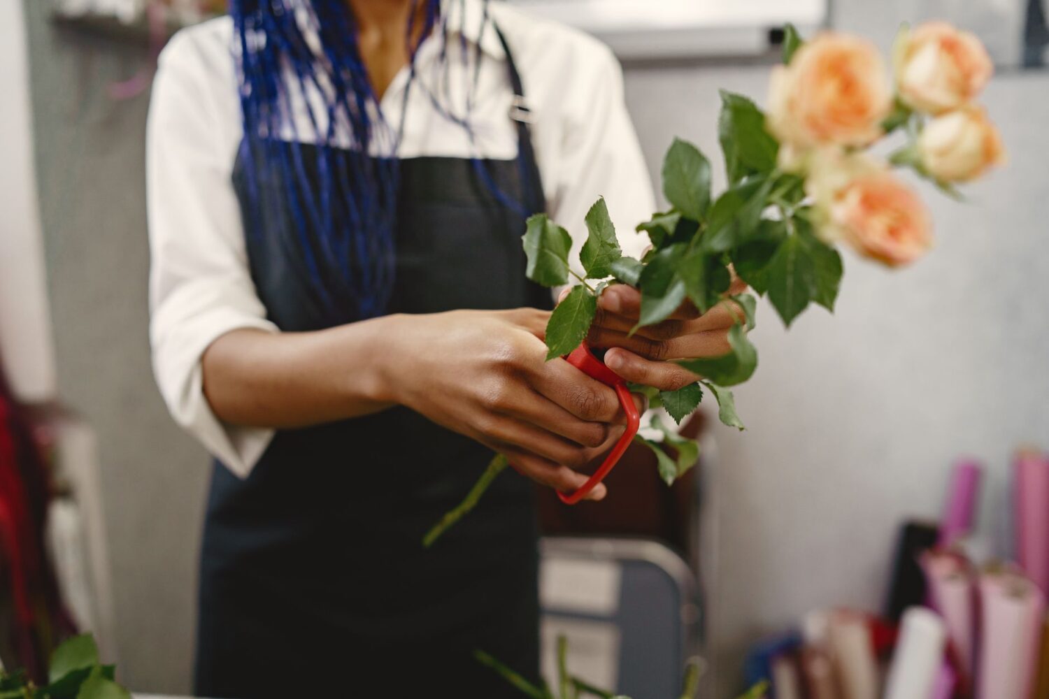Bouturer un rosier : la technique simple pour multiplier ses roses