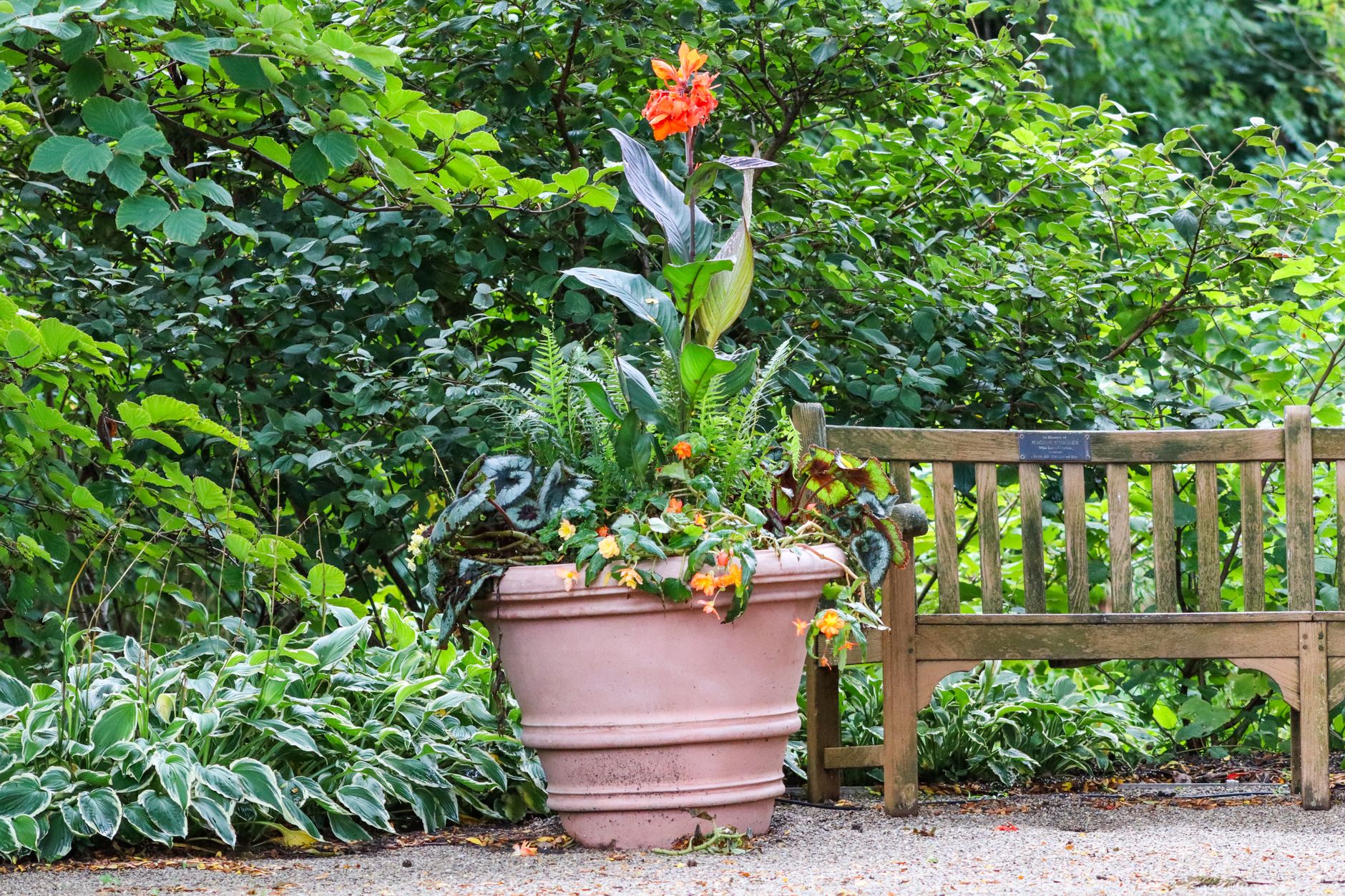 Le jardin botanique de Nancy, un paysage vivant qui donne des idées de promenade et d’aménagement — jardin botanique fleurs paysage