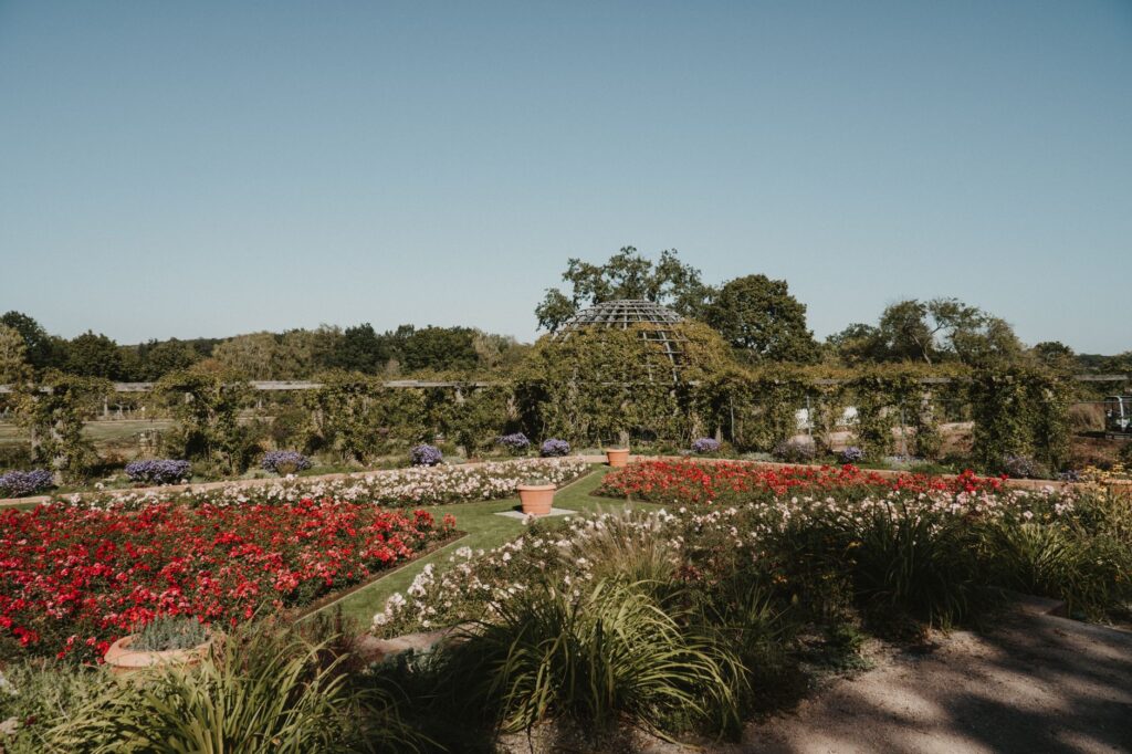 Le jardin botanique de Nancy — jardin botanique fleurs paysage