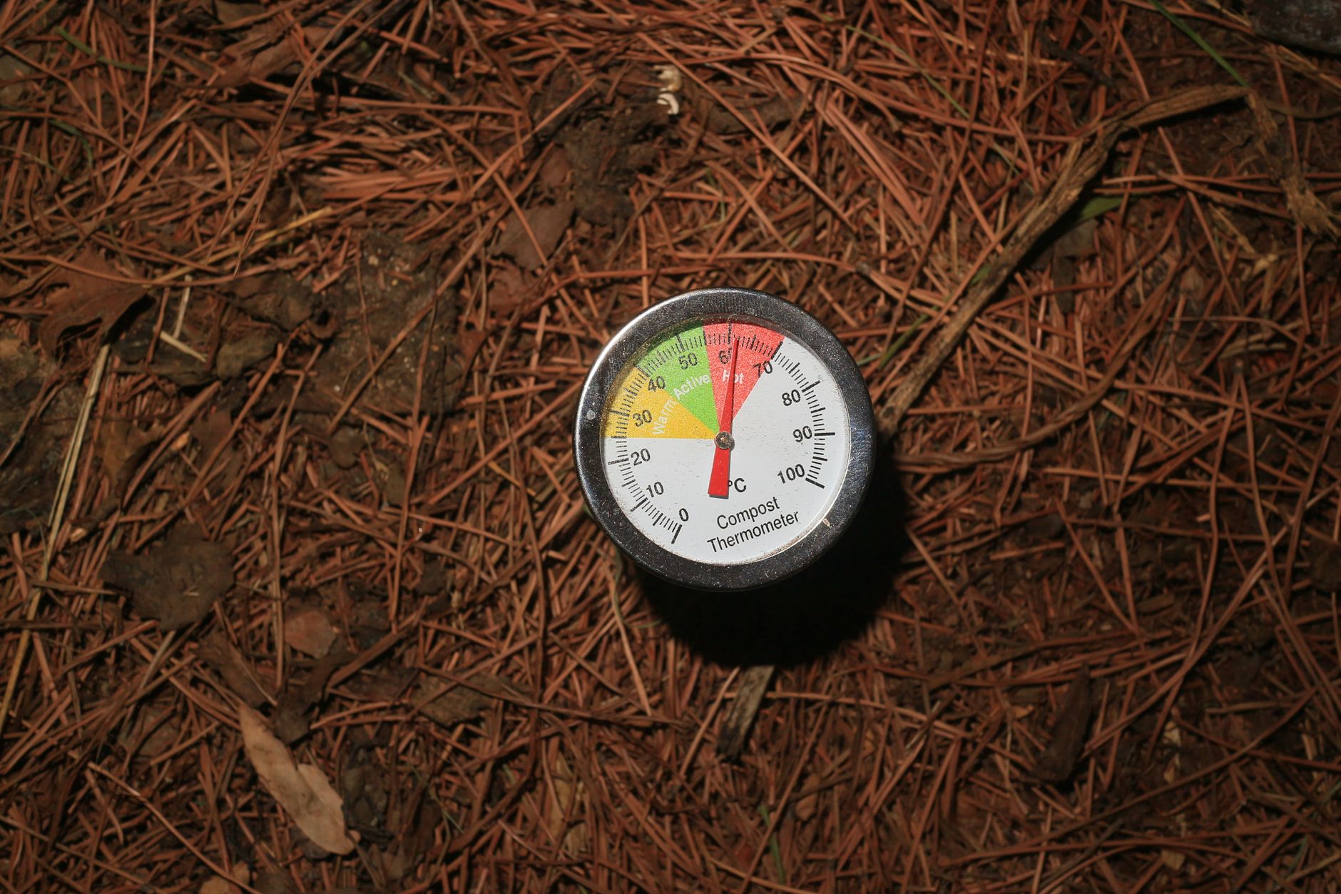 Peut-on mettre des frites dans — tas de compost avec déchets alimentaires