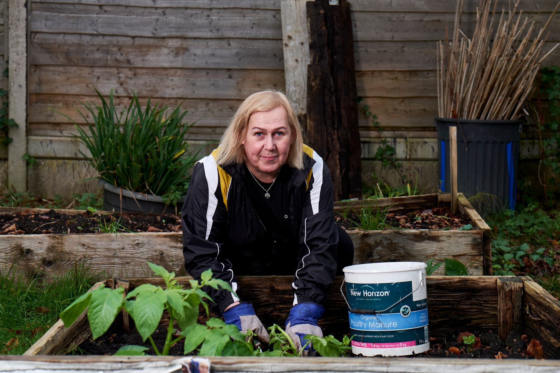 Planter directement dans du compost : ce qui marche et ce qui casse les racines — plantation dans un lit de compost