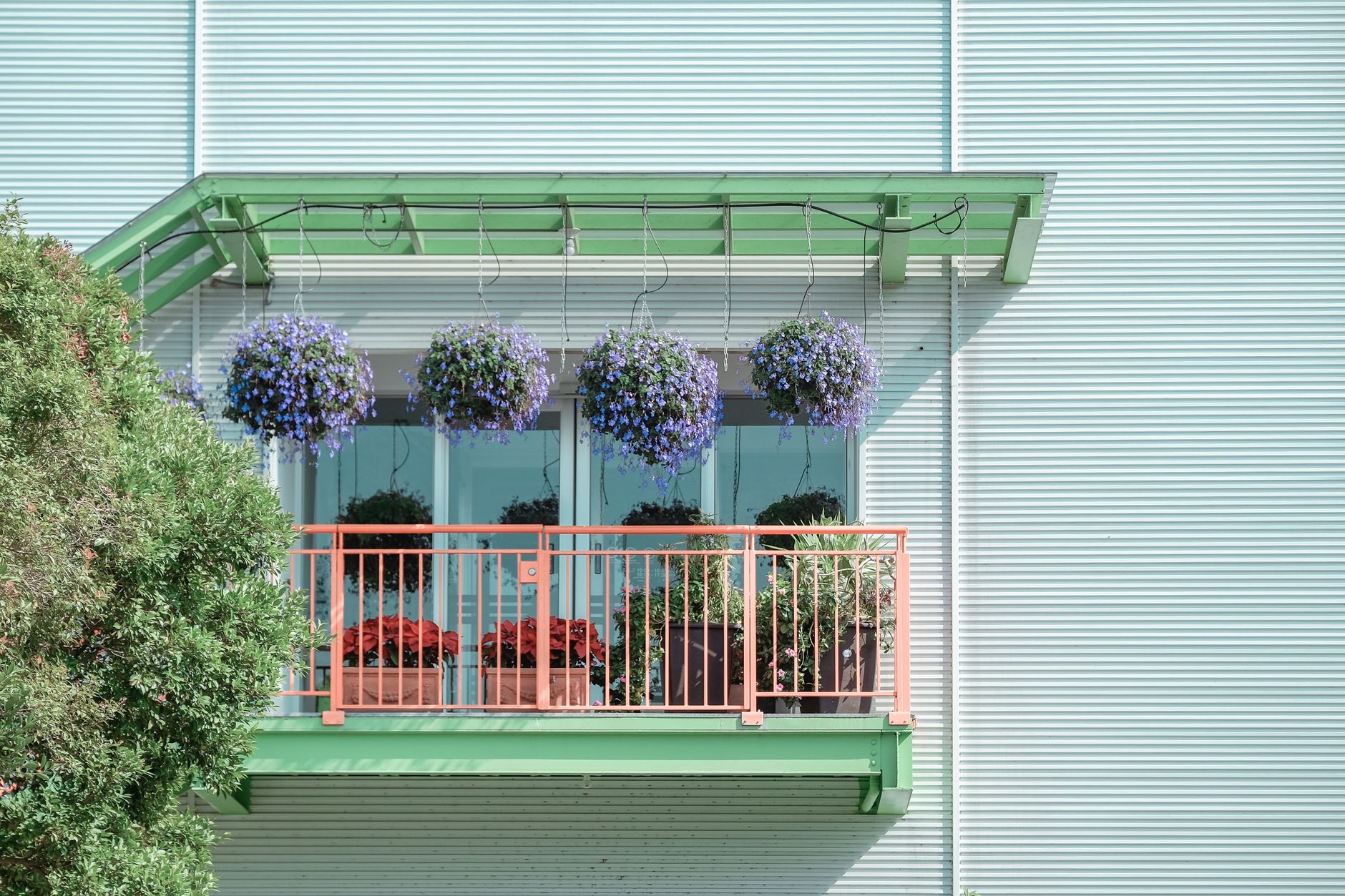 Plantes suspendues d’extérieur pour balcons et jardins : fleurs et feuillages qui retombent — plantes suspendues balcon jardin