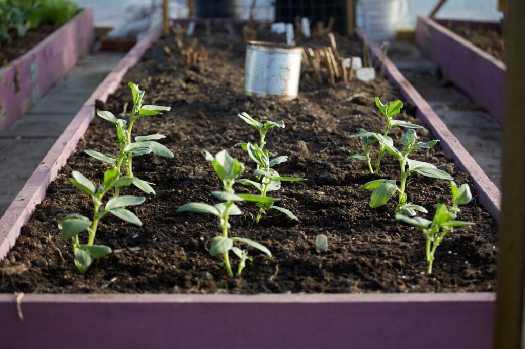 Que mettre au fond d'un — carré potager couches de sol