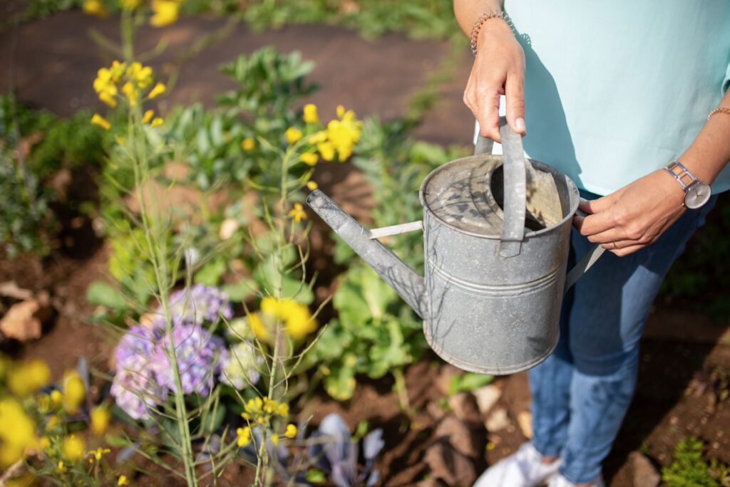Jardinage malin 15 astuces pour — outils de jardinage plantation de fleurs