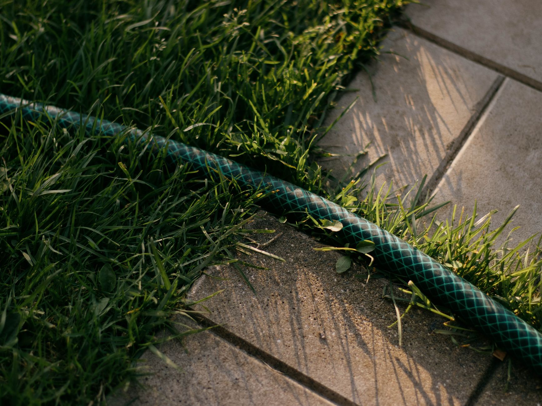 Peut-on semer du gazon sur de l’herbe existante sans tout refaire ? — processus de sursemis de gazon